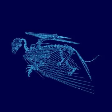 Blue image of a skeleton with a dragon on it. The skeleton is in a blue color Stock Illustration