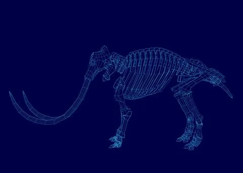 Blue image of a skeletonized elephant. The skeleton is shown in a very detailed Stock Illustration