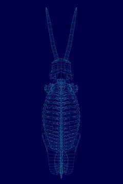 Blue image of a skeletonized elephant. The skeleton is shown in a very detailed Stock Illustration