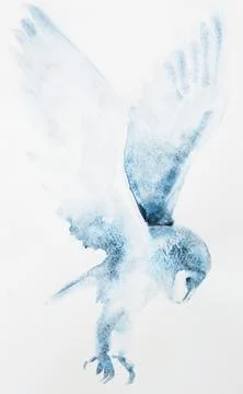 Blue ink artwork of an eagle soaring gracefully in the sky with outstretched Stock Illustration