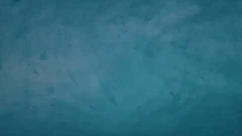 Blue Ink Color Paint Dissolving in Water Vidéo 116412097