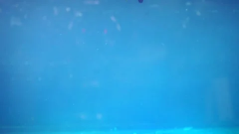 Blue ink dissolving into water, close shot. Video stock 150395976