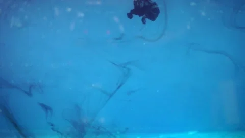 Blue ink dissolving into water, close shot. Video stock 150396027