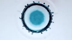 Blue ink drop falling in water Stock Footage