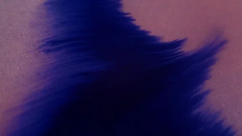 Blue ink splatter spreading on wet paper. Transition. 4K resolution macro shot. Stock Footage 126647463