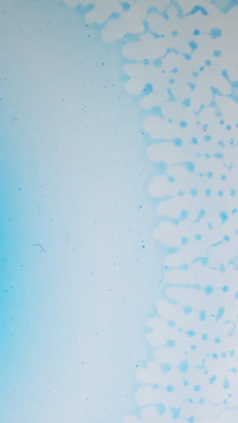 Blue Ink Spreading and Creating Cell-Like Patterns in Liquid, Macro Vertical Stock Footage 340882884