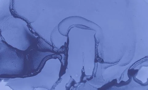 Blue Ink Texture. Marble Splatter. Modern Stock Illustration