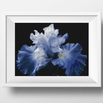 Blue iris on a black background. Illustration of cross stitch embroidery. Stock Illustration