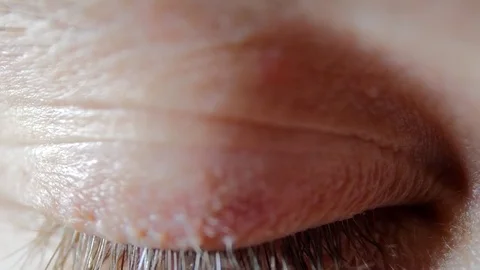 Blue Iris Closeup Stock-Footage 84666606