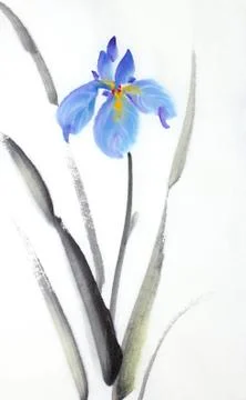 Blue iris flower Stock Illustration