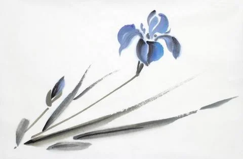 Blue iris flower Stock Illustration