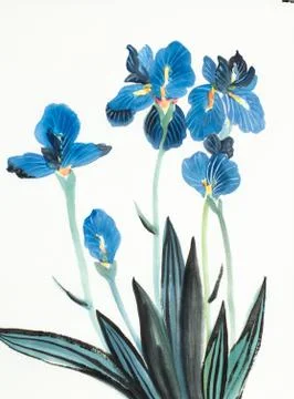 Blue iris flowers Stock Illustration