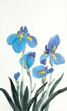 Blue iris flowers Stock Illustration
