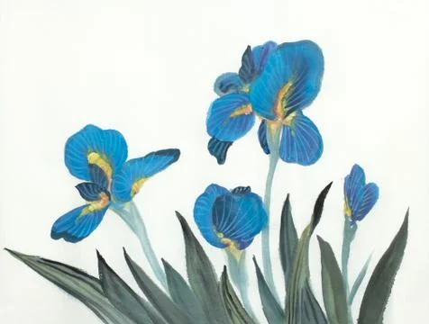 Blue iris flowers Stock Illustration