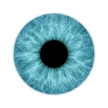 Blue iris Stock Photos