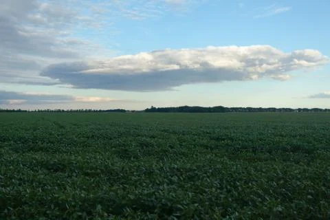 Blue it with white clouds over the green field Stock Photos