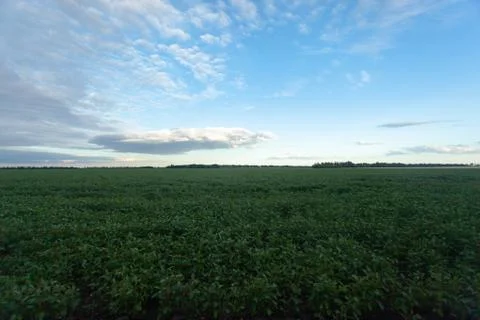 Blue it with white clouds over the green field Stock Photos