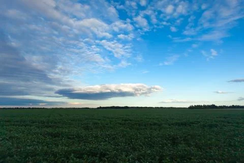 Blue it with white clouds over the green field Stock Photos