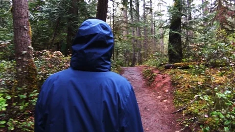 Blue jacket in forest Stock Footage 111045516