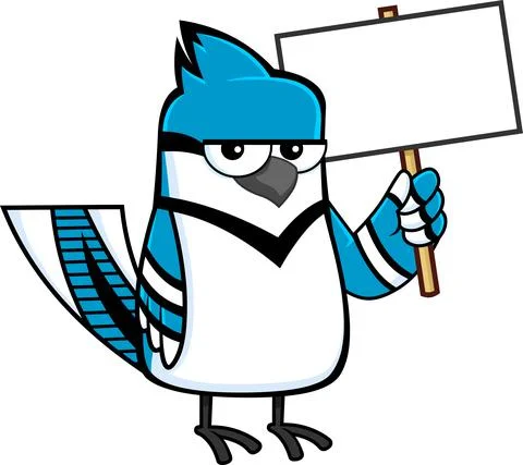 Blue Jay Bird Cartoon Character With Blank Sign Stock Illustration