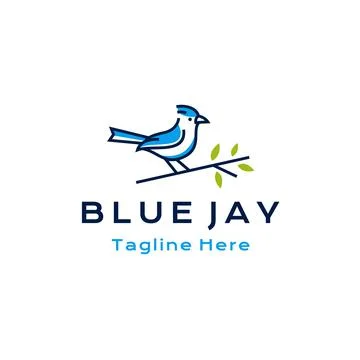 Blue jay bird logo design vector illustration Stock Illustration