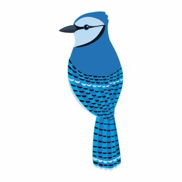 Blue Jay bird Vector Illustration, bird vector Stock Illustration