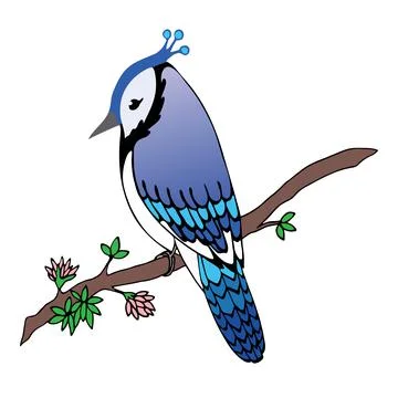 Blue Jay Bird in Photoshop  Blue jay bird, Pencil drawings of animals, Bird  artwork