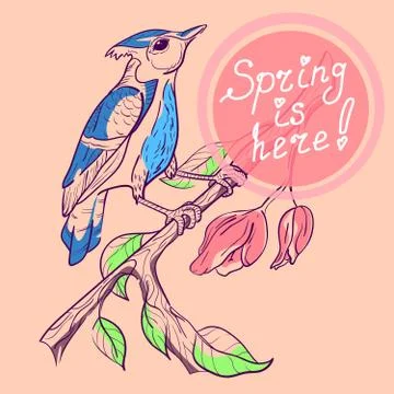 Blue jay on the branch. Illustrazione stock