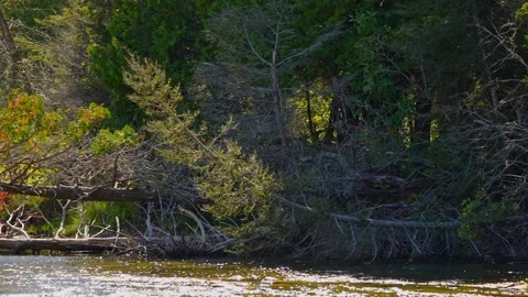 Blue Jay Creek river connected to Michael's Bay, Lake Huron, Manitoulin Isl.. Stock Footage 260411167