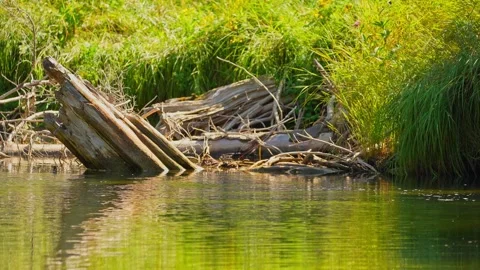 Blue Jay Creek river connected to Michael's Bay, Lake Huron. Natural waterc.. Stock Footage 260411211