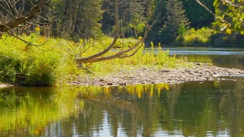 Blue Jay Creek river connected to Michael's Bay, Lake Huron. Natural waterc.. Stock Footage 260411218