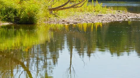 Blue Jay Creek river connected to Michael's Bay, Lake Huron, Manitoulin Isl.. Stock Footage 260411238