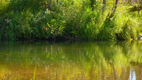 Blue Jay Creek river connected to Michael's Bay, Lake Huron, Manitoulin Isl.. Vídeo Stock 271691496
