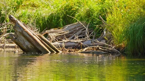 Blue Jay Creek river connected to Michael's Bay, Lake Huron, Manitoulin Isl.. Stock Footage 271691550