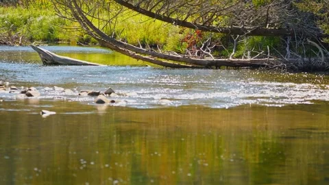 Blue Jay Creek river with Michael's Bay, Lake Huron, Manitoulin Island, unv.. Stock Footage 260411200
