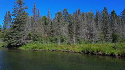 Blue Jay Creek river with Michael's Bay, Lake Huron, Manitoulin Island, unv.. Video stock 260411236