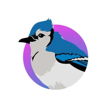 Blue Jay Flat Design Vector Illustration Stock Illustration
