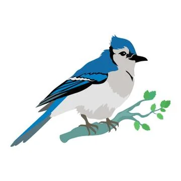 Blue Jay Flat Design Vector Illustration Stock Illustration
