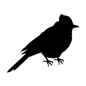Blue Jay Flat Design Vector Illustration Stock Illustration
