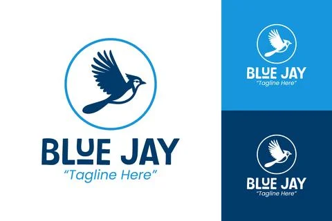 Blue Jay Logo Designs for Creative Businesses and Startups Stock Illustration