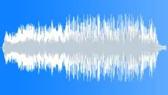 Blue Jay Screech Bird Sound Effect