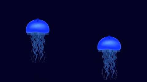 Blue jellyfish on a blue and empty background. Stock Footage 150651602