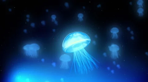 Blue Jellyfish Video stock 56439768