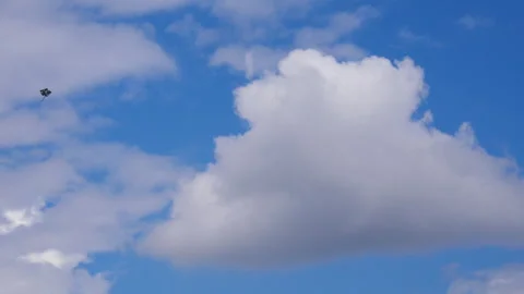 A blue kite flying in a beautiful blue sky full of fluffy white clouds Stock Footage 258534474