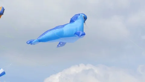 Blue Kite in a Shape of Harbor Seal Video stock 127232878