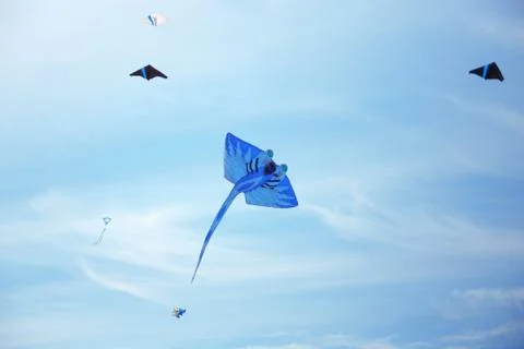 Blue kite in the sky Stock Photos