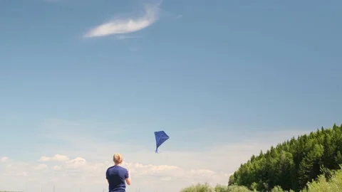 Blue kite soars in the blue sky. Stock Footage 155300152