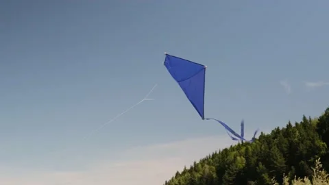 Blue kite soars in the blue sky. Stock Footage 155300274