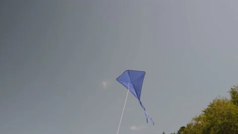 Blue kite soars in the blue sky. Stock Footage 155300285