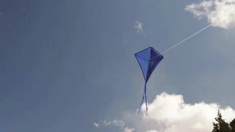 A blue kite soars in the sky. Stock Footage 153464963